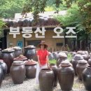 오즈공인중개사사무소 이미지
