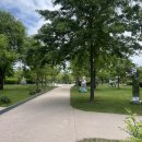 강서한강공원 | 돗자리 펴고 책읽기 딱좋은 강서한강공원 조용한 가족피크닉장 추천 +주차정보