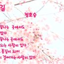 세겹줄