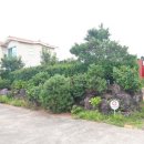 해뜨는 마을 e풀하우스 이미지