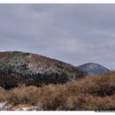 효명목장 이미지