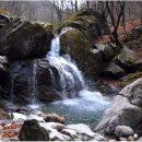 화야산유원지 Daum카페