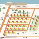 [대구/달성군] 대구 근교 구지캠핑장 ‘강변오토캠핑장’ 명당 34번 사이트 후기