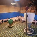 로뎀축산 이미지