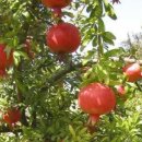 신천리슈퍼 이미지