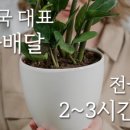 전중협