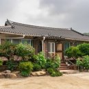 솔나무안집