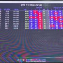 용하체육관 이미지