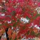 석남사주차장 이미지