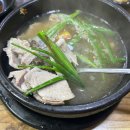 부산여행 2박3일 중 셋째날, (신창국밥, 신기숲, 흰여울길, 기념품, 요술제작소, 거인왕돈까스, 부산항...