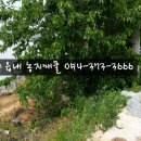 성주주말농장 890평 참외하우스 성주읍위치 [성주토지06]성주부동산 이미지