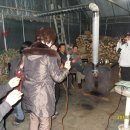 야인노래방 이미지