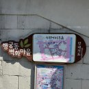 자동차마을 팔달점 | 수원 실내데이트 코스, 행궁동 벽화마을 근처 놀거리, 센이모노 터프팅 원데이 클래스 공방 체험, 소품...