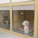 옐레드 문래역점 이미지