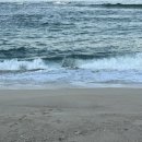 GS25 강릉하평해변점 이미지