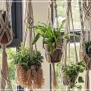 마크라메 플랜트 행잉 DIY 이미지