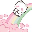 이누홈케어 이미지