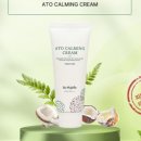 온새미로 아토 이미지