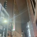 호텔허니25(HOTEL HONEY 25) | 일본 도쿄 여행 숙소 추천, 위치 좋은 호텔 몬토레(몬터레이) 긴자 후기 Hotel Monterey Ginza🏨