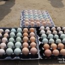 누룩재마을 이미지