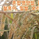 구평농장 이미지