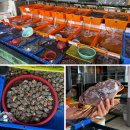 개를 품은 남자 이미지