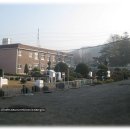 정미초등학교 Daum카페
