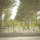 세종 가볼만한 곳 국립세종수목원 무료개방 기간 방문 후기