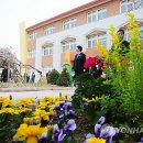 남창초교 이미지