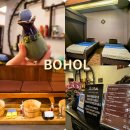 수아로마샵 | 보홀 마사지 추천 라벨라스파 가격 할인 예약 픽드랍 Tips, 알로나비치 마사지샵 아로마 전신 후기