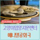 애니멀공화국 이미지