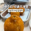 영농조합법인겨르메기마을기업 | 제주여행 만들기 체험 추천 | 감귤청•과일찹쌀떡 만들기 후기 [무릉외갓집]