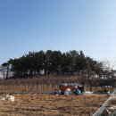 윤성약국