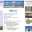 태양F&B