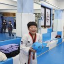 대진 윙 태권도 이미지