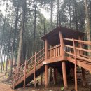 사천 케이블카 자연휴양림 이미지