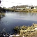 낙낙저수지 이미지