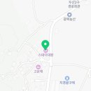 고운채 스테이 이미지
