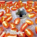 썬 이미지