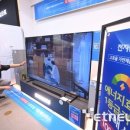 으뜸콜렉션