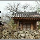 돌담 이미지