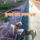 솔샘로 이미지