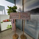 황토목욕탕 | 탕정온천 더프라하스파 아산목욕탕 야외노천탕 핀란드 배럴 찜질방 이용꿀팁 후기