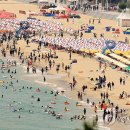 해운대해수욕장 이미지