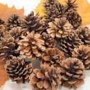 전래놀이 한바탕 이미지