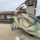 군산신시담 이미지