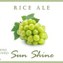 샤인에이 이미지