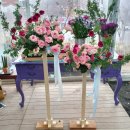 가행나무 이미지