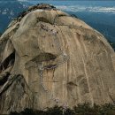 비둘기길 이미지