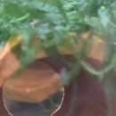 고래의꿈 수족관 이미지